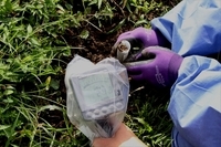 一般社団法人　原発事故被災動物と環境研究会のプレスリリース