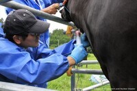 一般社団法人　原発事故被災動物と環境研究会のプレスリリース画像4