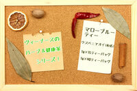 有限会社サンドラのプレスリリース画像1