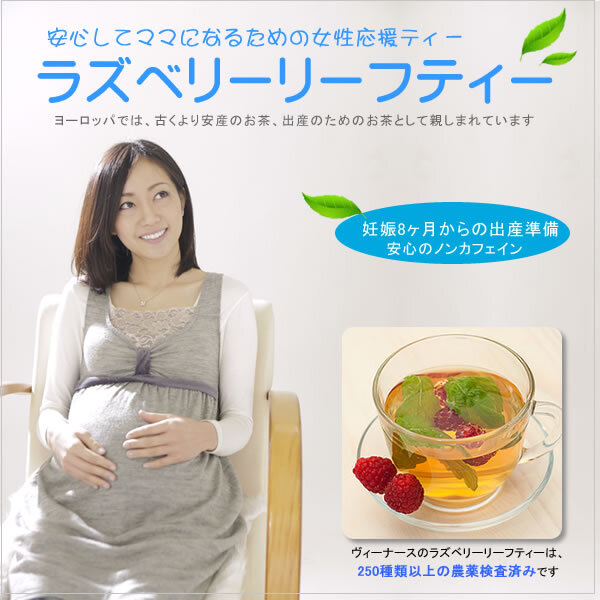 有限会社サンドラのプレスリリース画像1