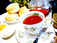 有限会社サンドラのプレスリリース画像1