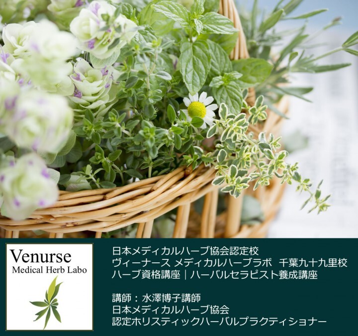 有限会社サンドラのプレスリリース画像1