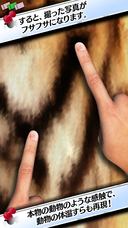 モアイソフトのプレスリリース画像4