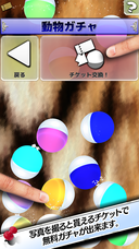 モアイソフトのプレスリリース画像6