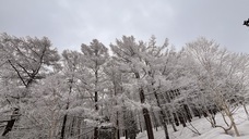 イノベーティブジャパン株式会社のプレスリリース画像3