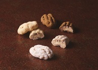 株式会社ショウエイのプレスリリース画像3