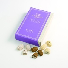 株式会社ショウエイのプレスリリース画像7