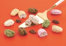 株式会社ショウエイのプレスリリース画像1