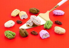 株式会社ショウエイのプレスリリース画像7