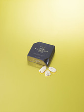 株式会社ショウエイのプレスリリース画像1