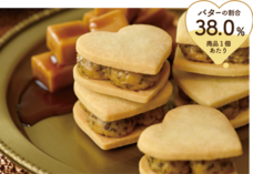 株式会社ショウエイのプレスリリース画像14