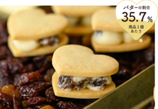 株式会社ショウエイのプレスリリース画像15