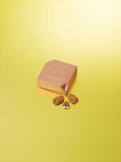 株式会社ショウエイのプレスリリース画像2