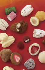 株式会社ショウエイのプレスリリース画像6