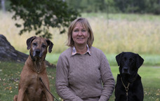 株式会社プレイボゥのプレスリリース画像1