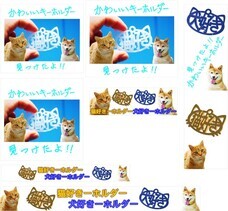 CoolSmileのプレスリリース画像8