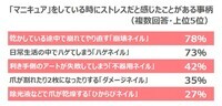 株式会社コージー本舗のプレスリリース画像2