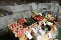 にいがた夏の雪旅推進協議会事務局のプレスリリース画像3