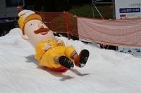 にいがた夏の雪旅推進協議会事務局のプレスリリース画像3