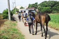 東関東ホースプロジェクトのプレスリリース画像6