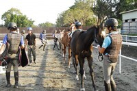 東関東ホースプロジェクトのプレスリリース画像7