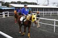 東関東ホースプロジェクトのプレスリリース