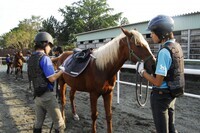 東関東ホースプロジェクトのプレスリリース画像8