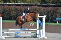 東関東ホースプロジェクトのプレスリリース画像4