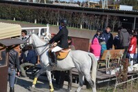 東関東ホースプロジェクトのプレスリリース画像5