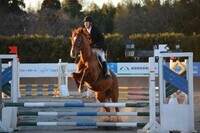 東関東ホースプロジェクトのプレスリリース画像8