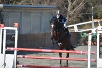 東関東ホースプロジェクトのプレスリリース画像6