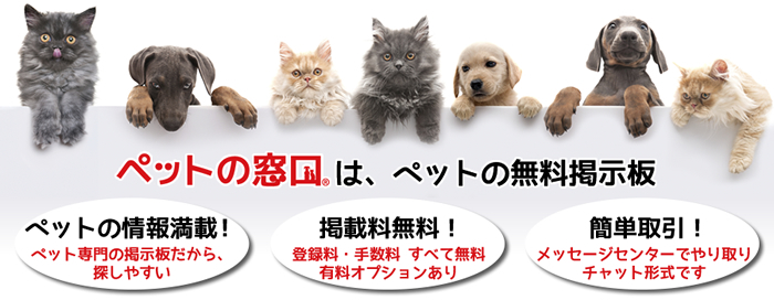 KDK株式会社のプレスリリース画像2