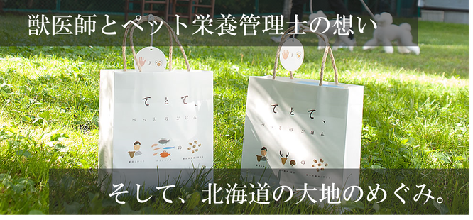 日本プロジェクトソリューションズ株式会社のプレスリリース画像1