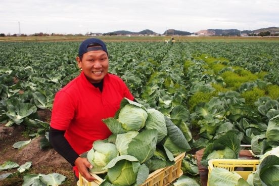 株式会社サーチフィールドのプレスリリース画像4