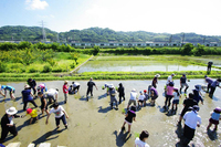 株式会社サーチフィールドのプレスリリース画像4