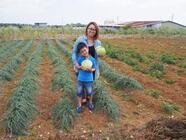 株式会社サーチフィールドのプレスリリース画像4