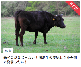 株式会社サーチフィールドのプレスリリース画像3