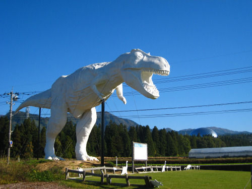 株式会社サーチフィールドのプレスリリース画像1