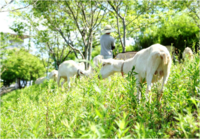 株式会社サーチフィールドのプレスリリース画像1