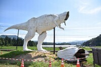 株式会社サーチフィールドのプレスリリース画像3