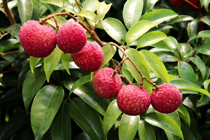 株式会社サーチフィールドのプレスリリース画像2