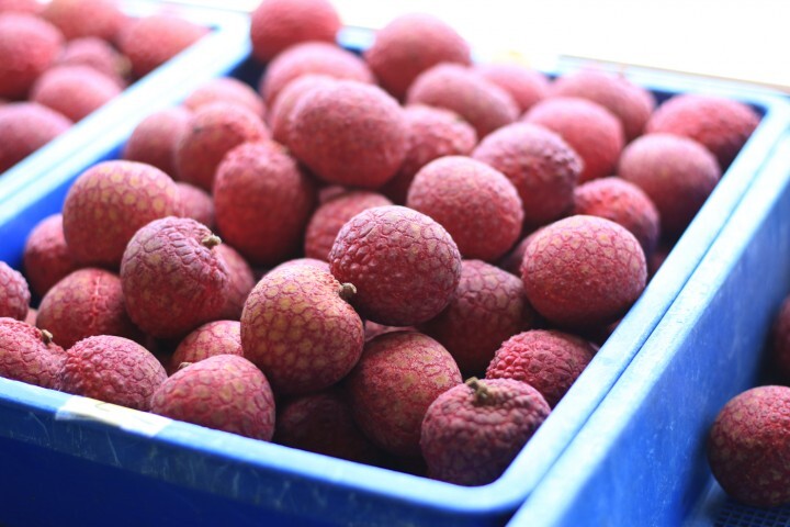 株式会社サーチフィールドのプレスリリース画像5