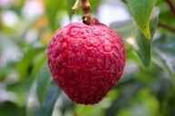 株式会社サーチフィールドのプレスリリース画像1