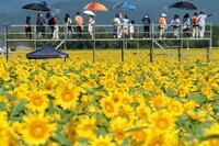 株式会社サーチフィールドのプレスリリース画像2