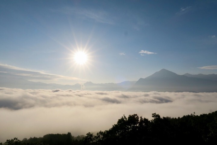 株式会社サーチフィールドのプレスリリース