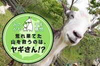 株式会社サーチフィールドのプレスリリース