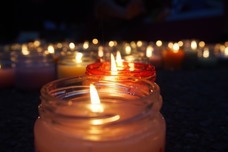 早稲田祭2025運営スタッフのプレスリリース画像3