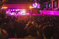 早稲田祭2025運営スタッフのプレスリリース画像3