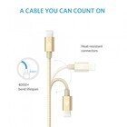 アンカー・ジャパン株式会社のプレスリリース画像9