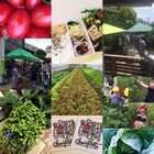 草加元気放送局のプレスリリース